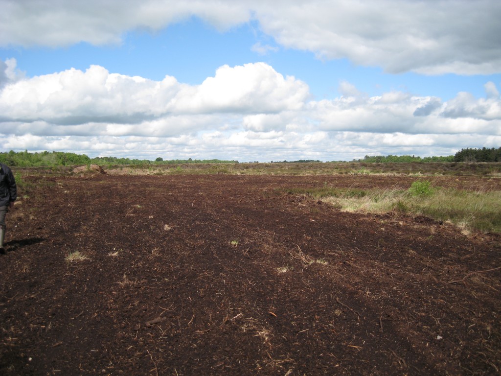 The Cross Runway