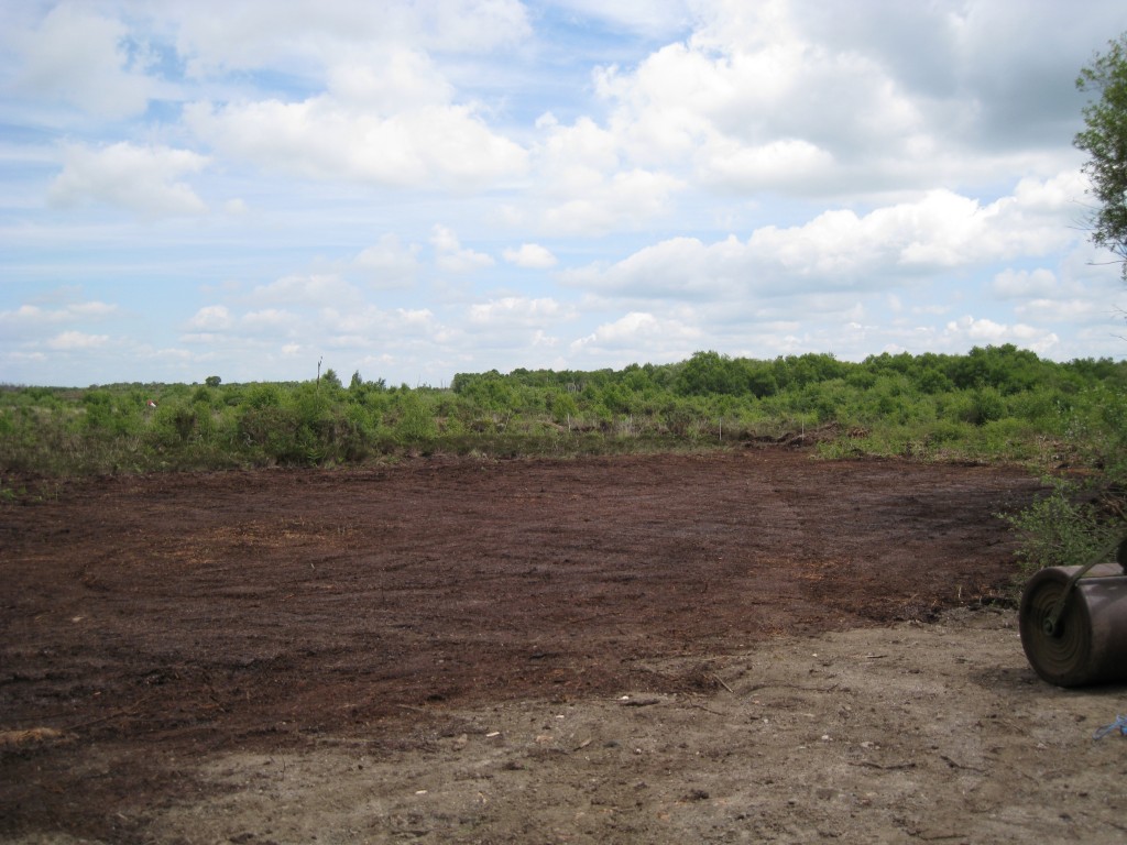 The Car Park After Rolling